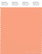 PANTONE SMART 15-1331X Color Swatch Card, Coral Reef