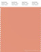 PANTONE SMART 15-1333X Color Swatch Card, Canyon Sunset
