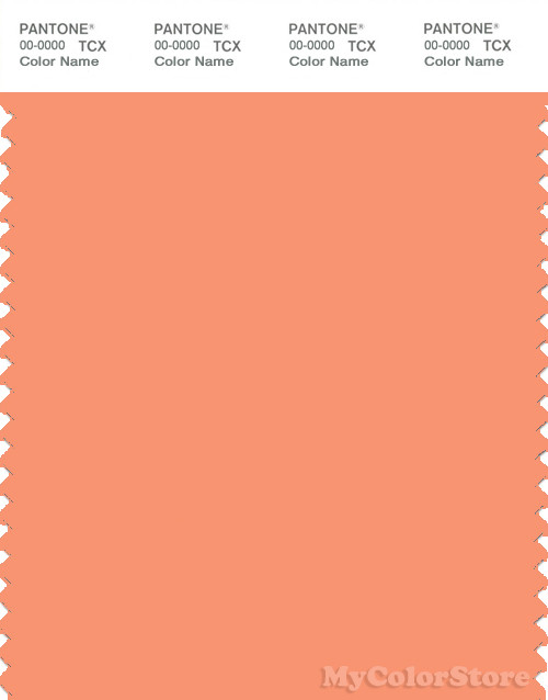 PANTONE SMART 15-1340X Color Swatch Card, Cadmium Orange