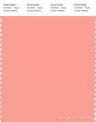 PANTONE SMART 15-1423X Color Swatch Card, Peach Amber
