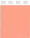 PANTONE SMART 15-1433X Color Swatch Card, Papaya Punch