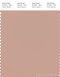 PANTONE SMART 15-1511X Color Swatch Card, Mahogany Rose