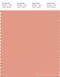 PANTONE SMART 15-1523X Color Swatch Card, Shrimp