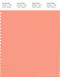PANTONE SMART 15-1530X Color Swatch Card, Peach Pink