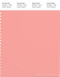 PANTONE SMART 15-1621X Color Swatch Card, Candlelight Peach