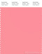 PANTONE SMART 15-1624X Color Swatch Card, Conch Shell