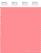 PANTONE SMART 15-1626X Color Swatch Card, Salmon Rose