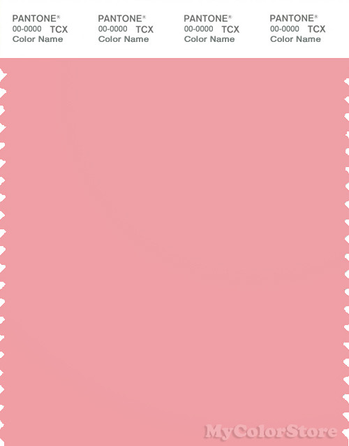 PANTONE SMART 15-1717X Color Swatch Card, Pink Icing