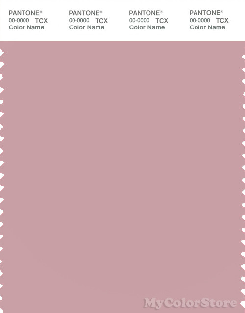 PANTONE SMART 15-1906X Color Swatch Card, Zephyr