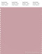 PANTONE SMART 15-1906X Color Swatch Card, Zephyr