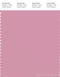 PANTONE SMART 15-2210X Color Swatch Card, Orchid Smoke