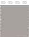 PANTONE SMART 15-3800X Color Swatch Card, Porpoise