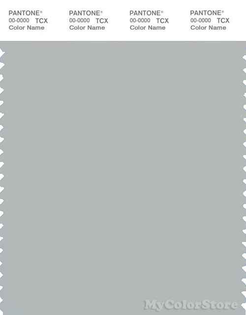 PANTONE SMART 15-4003X Color Swatch Card, Storm Gray
