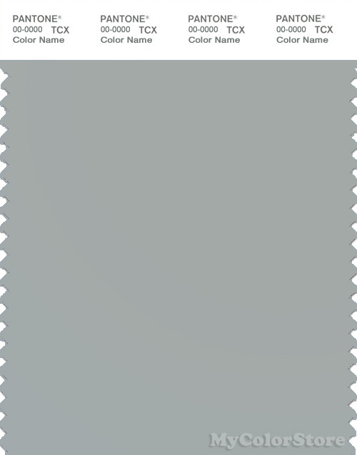 PANTONE SMART 15-4306X Color Swatch Card, Belgian Block