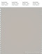PANTONE SMART 15-4502X Color Swatch Card, Silver Cloud