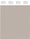 PANTONE SMART 15-4503X Color Swatch Card, Gray