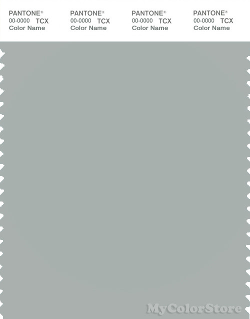 PANTONE SMART 15-4702X Color Swatch Card, Puritan Gray