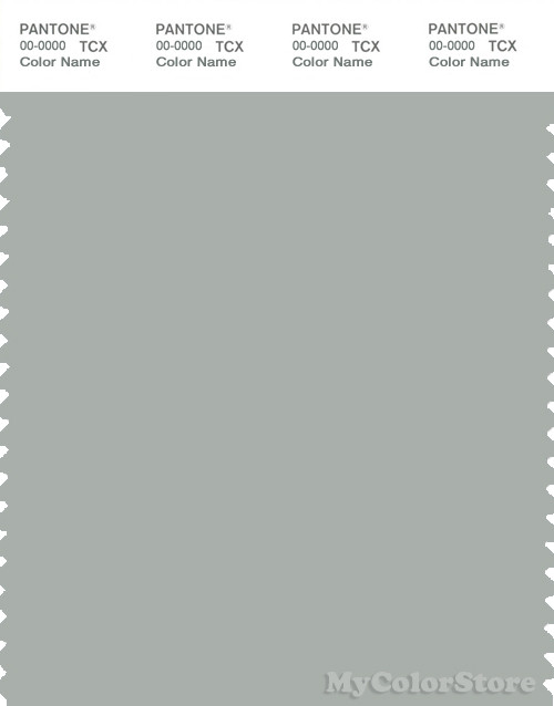 PANTONE SMART 15-4704X Color Swatch Card, Pigeon