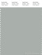 PANTONE SMART 15-4704X Color Swatch Card, Pigeon