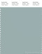 PANTONE SMART 15-4706X Color Swatch Card, Gray Mist