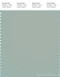 PANTONE SMART 15-5205X Color Swatch Card, Aqua Gray
