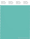 PANTONE SMART 15-5218X Color Swatch Card, Pool Blue