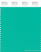 PANTONE SMART 15-5421X Color Swatch Card, Aqua Green