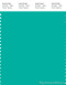 PANTONE SMART 15-5425X Color Swatch Card, Atlantis