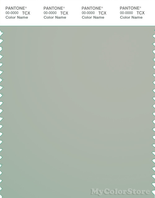 PANTONE SMART 15-5704X Color Swatch Card, Mineral Gray