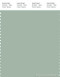 PANTONE SMART 15-5706X Color Swatch Card, Frosty Green