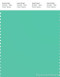 PANTONE SMART 15-5718X Color Swatch Card, Biscay Green