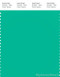 PANTONE SMART 15-5728X Color Swatch Card, Mint Leaf