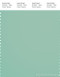 PANTONE SMART 15-5812X Color Swatch Card, Lichen
