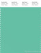 PANTONE SMART 15-5819X Color Swatch Card, Spearmint