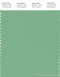 PANTONE SMART 15-6120X Color Swatch Card, Ming
