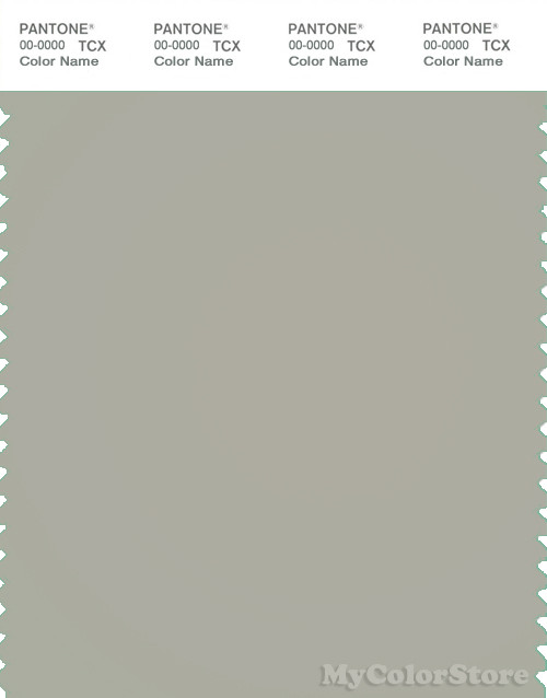 PANTONE SMART 15-6304X Color Swatch Card, Pussywillow Gray