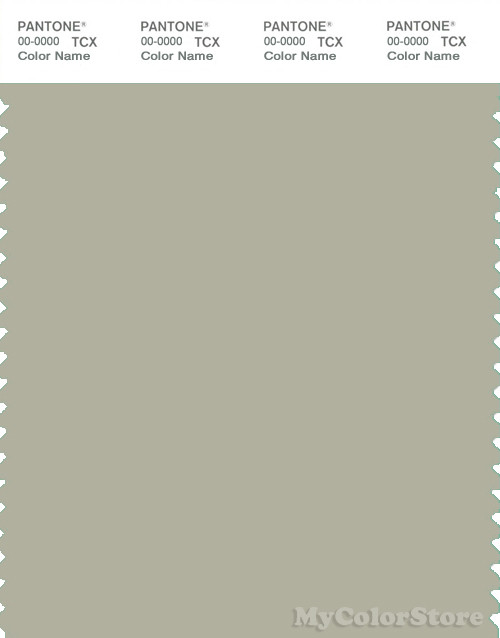 PANTONE SMART 15-6307X Color Swatch Card, Agate Gray