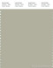 PANTONE SMART 15-6307X Color Swatch Card, Agate Gray