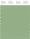 PANTONE SMART 15-6316X Color Swatch Card, Fair Green