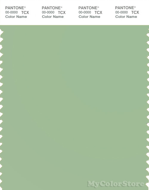 PANTONE SMART 15-6317X Color Swatch Card, Iris Green
