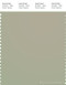 PANTONE SMART 15-6410X Color Swatch Card, Moss Gray