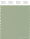PANTONE SMART 15-6414X Color Swatch Card, Reseda