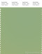 PANTONE SMART 15-6423X Color Swatch Card, Forest Shade