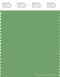 PANTONE SMART 15-6432X Color Swatch Card, Shamrock