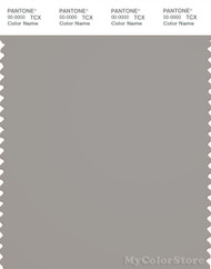 PANTONE SMART 16-0000X Color Swatch Card, Penguin