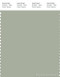 PANTONE SMART 16-0110X Color Swatch Card, Desert Sage
