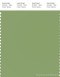 PANTONE SMART 16-0123X Color Swatch Card, Tendril