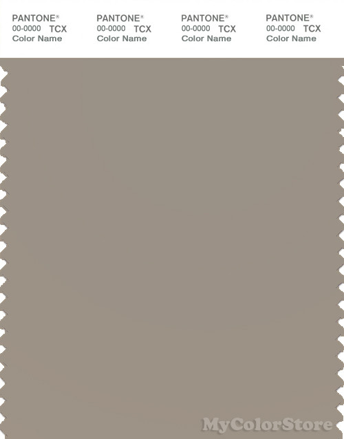 PANTONE SMART 16-0205X Color Swatch Card, Vintage Khaki