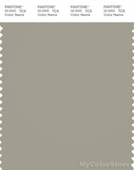 PANTONE SMART 16-0207X Color Swatch Card, Green Mist