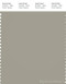 PANTONE SMART 16-0207X Color Swatch Card, Green Mist